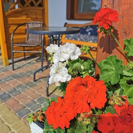 Romir Bardzo Goscinne Alloggio in famiglia Sztutowo