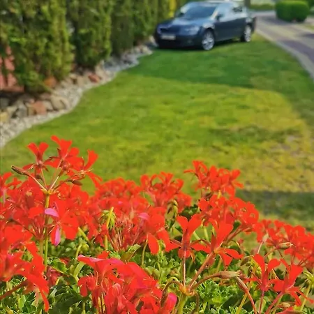 Romir Bardzo Goscinne *