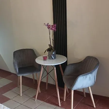 Pansiyon Romir Bardzo Goscinne Sztutowo