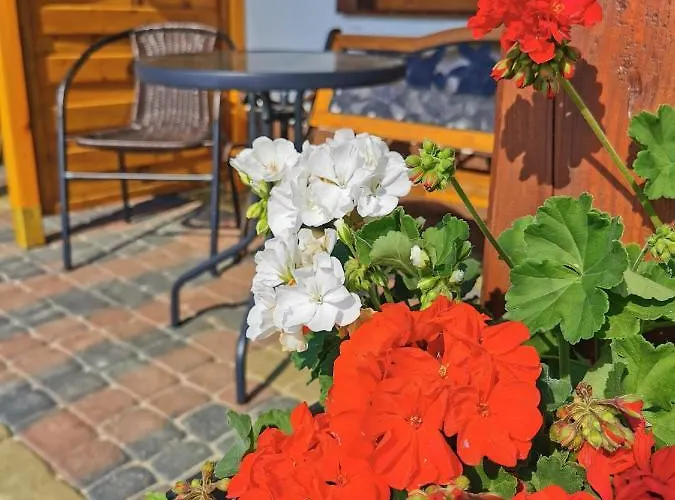 Romir Bardzo Goscinne 홈스테이 슈투토보