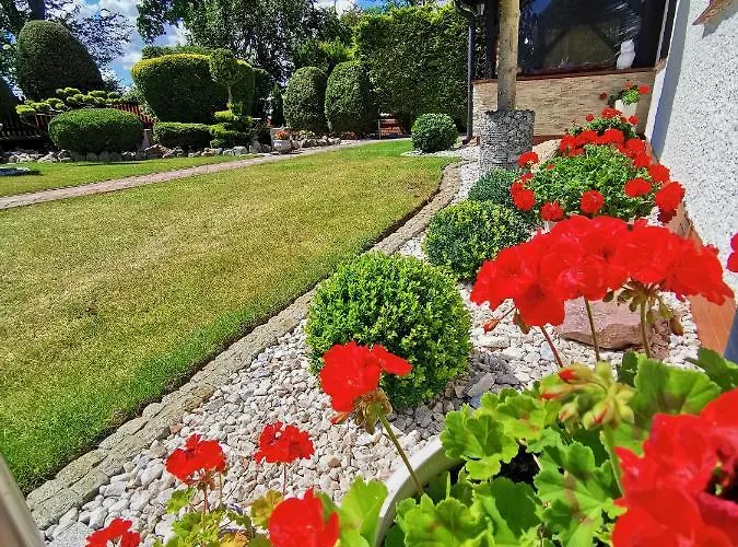 Romir Bardzo Goscinne