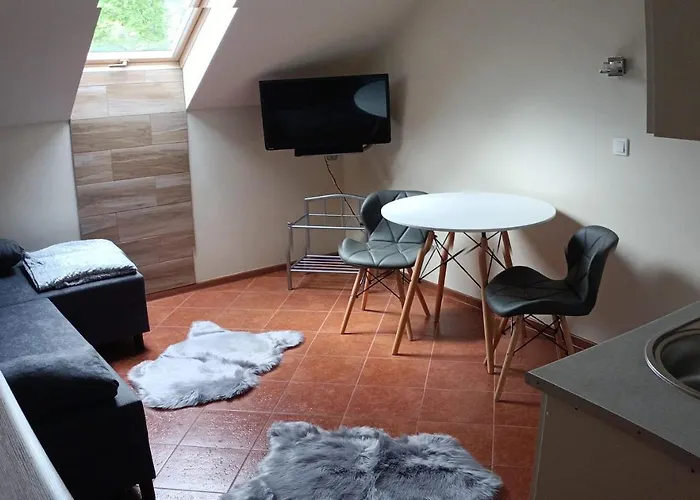 홈스테이 Romir Bardzo Goscinne