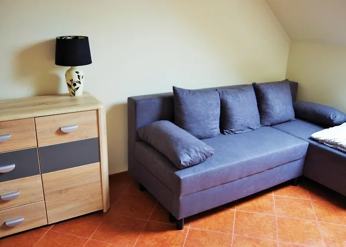 Romir Bardzo Goscinne *