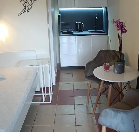 홈스테이 Romir Bardzo Goscinne