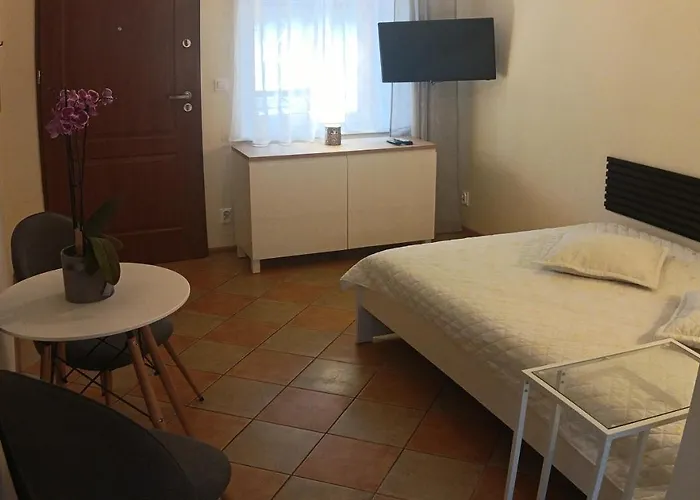 홈스테이 Romir Bardzo Goscinne