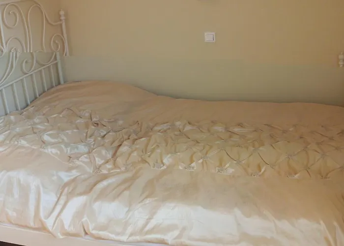 Romir Bardzo Goscinne 홈스테이 *