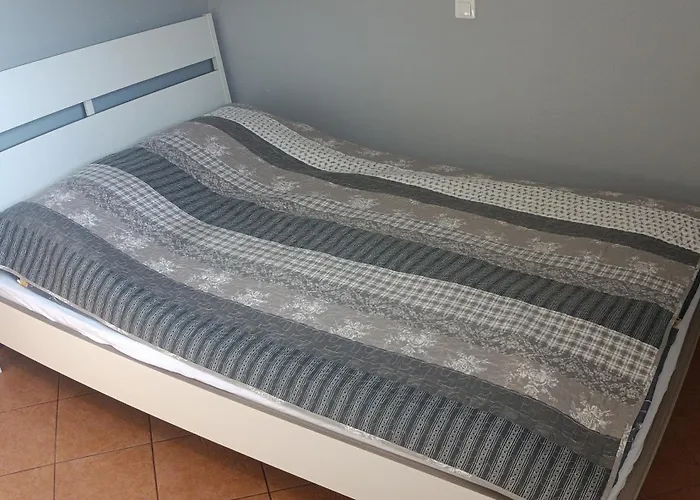 Romir Bardzo Goscinne *